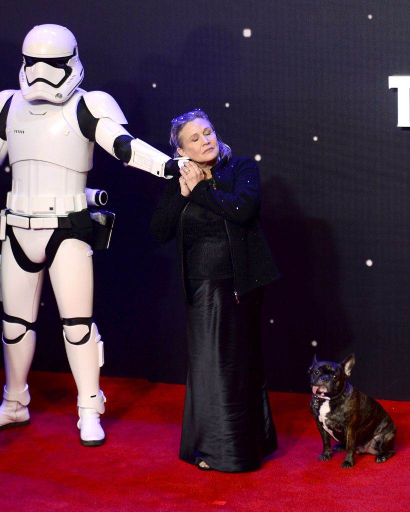 Carrie Fisher with her dog Gary as she arrives to the Star Wars: The Force Awakens European Premiere( Photo credit should read: Anthony Devlin/PA Wire 