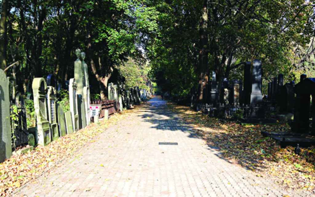 Graves at Okopowa Street Jewish Cemetery in Warsaw, Poland.