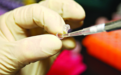 NHGRI researcher uses a pipette to remove DNA from a micro test tube.