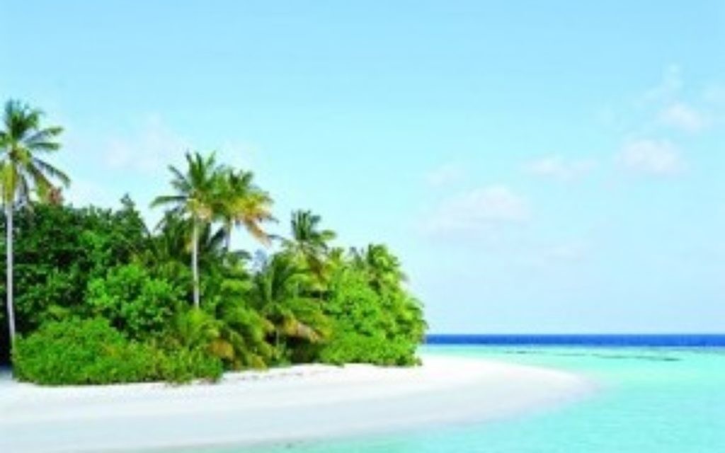 One of the stretches of beach in the Maldives