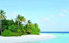 One of the stretches of beach in the Maldives One of the stretches of beach in the Maldives