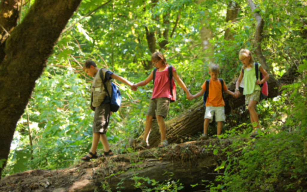 Group of kids in forest walking over log