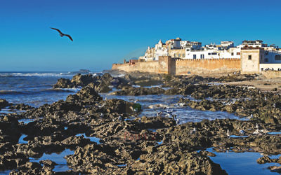 Essaouira’s famous fortifications dominate the town