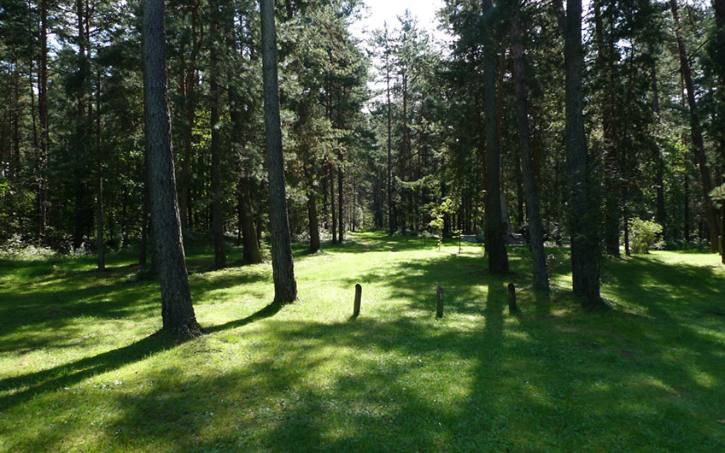 The silent forest of Paneriai.