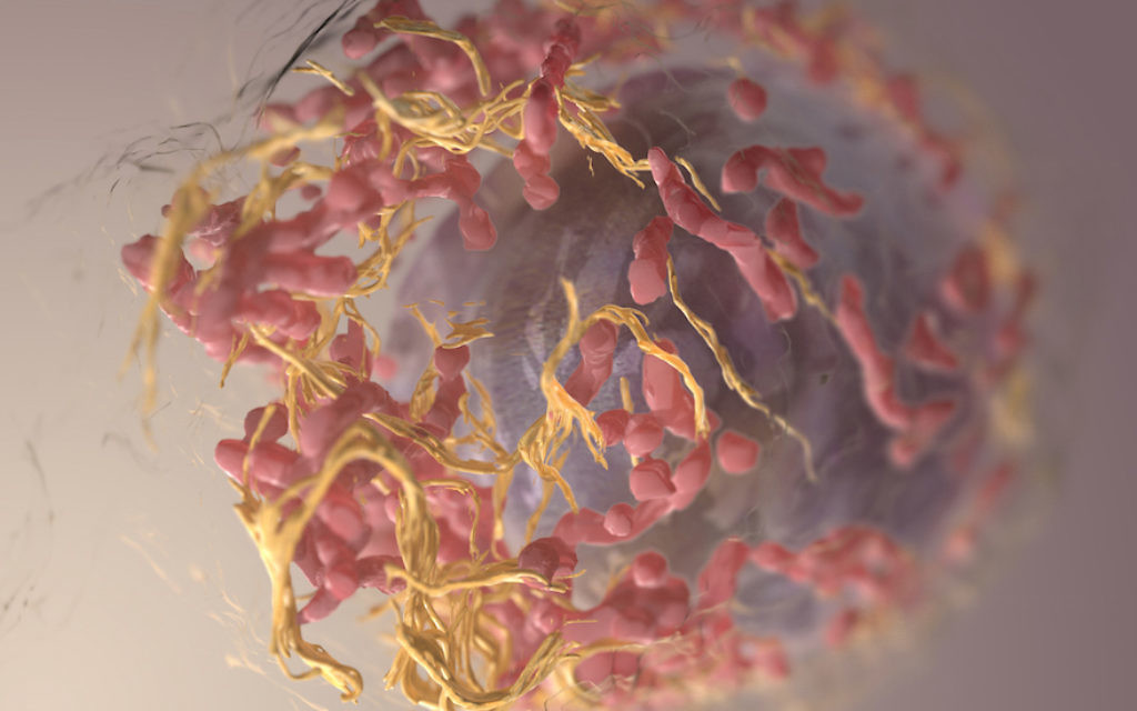 A 3-D structure of a melanoma cell derived by ion abrasion scanning electron microscopy (Sriram Subramaniam/National Cancer Institute/Wikimedia Commons)