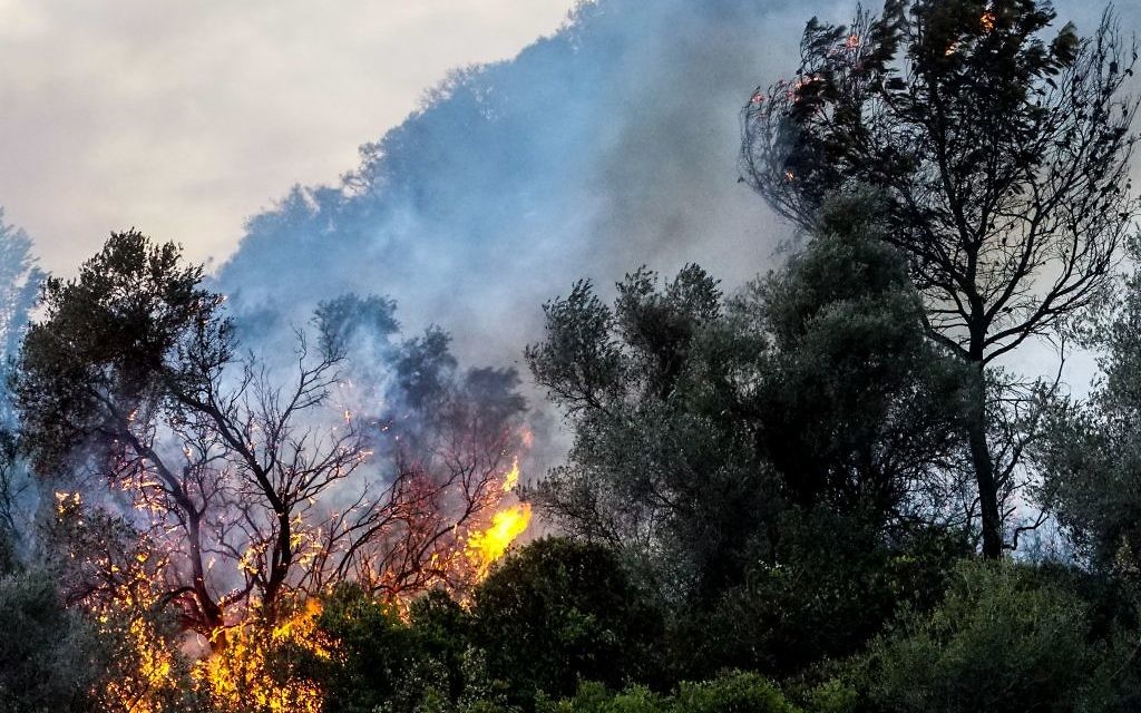 Firefighters try to extinguish a forest fire near ZIchron Yaakov  Photo by: JINIPIX