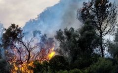 Firefighters try to extinguish a forest fire near ZIchron Yaakov  Photo by: JINIPIX