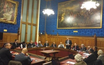 Lord Nick Bourne addressing the launch of the project in the House of Lords