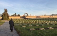 Jeremy Corbyn visiting Terezin