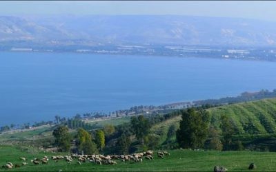 The Kineret - or Sea of Galilee