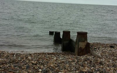 Jewish family from Stamford Hill were enjoying bank holiday weekend at the beach before being pelted with pebbles by youths shouting "Jews"