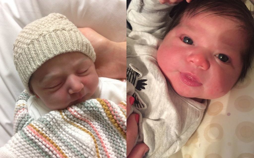 Baby Brown on the left, and Baby Lieberman on the right