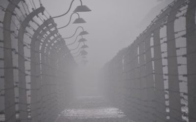 Posts and barbed-wire at Auschwitz I - 

Photo by Pawel Sawicki © Auschwitz-Birkenau State Museum - Musealia