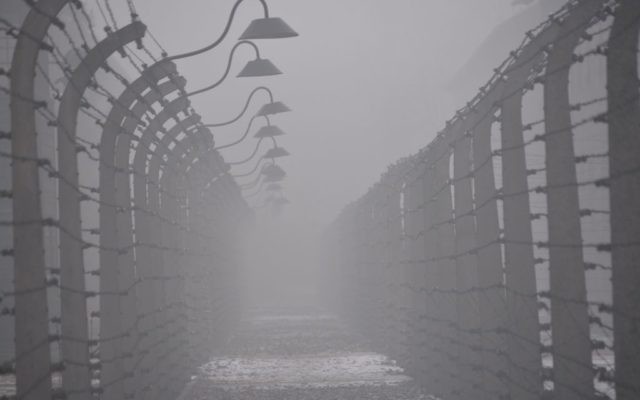 Posts and barbed-wire at Auschwitz I - 

Photo by Pawel Sawicki © Auschwitz-Birkenau State Museum - Musealia