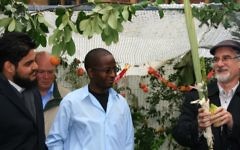Interfaith work in action