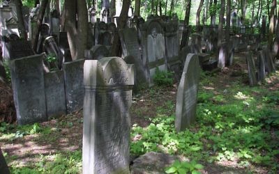 Graves at Okopowa Street Jewish Cemetery in Warsaw, Poland.