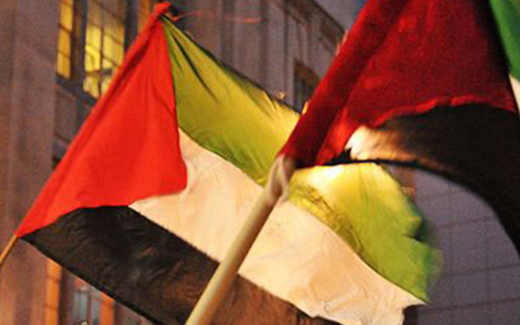 Palestine flag