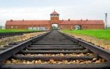 Auschwitz's infamous train tracks and death gate