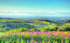 Quantock Hills Quantock Hills