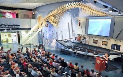 Congregants heard the story of Jonah under a the skeleton of a 46-foot sperm whale at the Whaling Museum in Nantucket. (Picture: the Nantucket Historical Association).