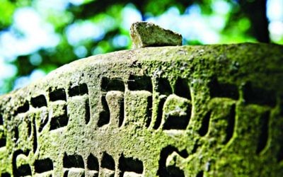 An old Jewish headstone in a cemetery