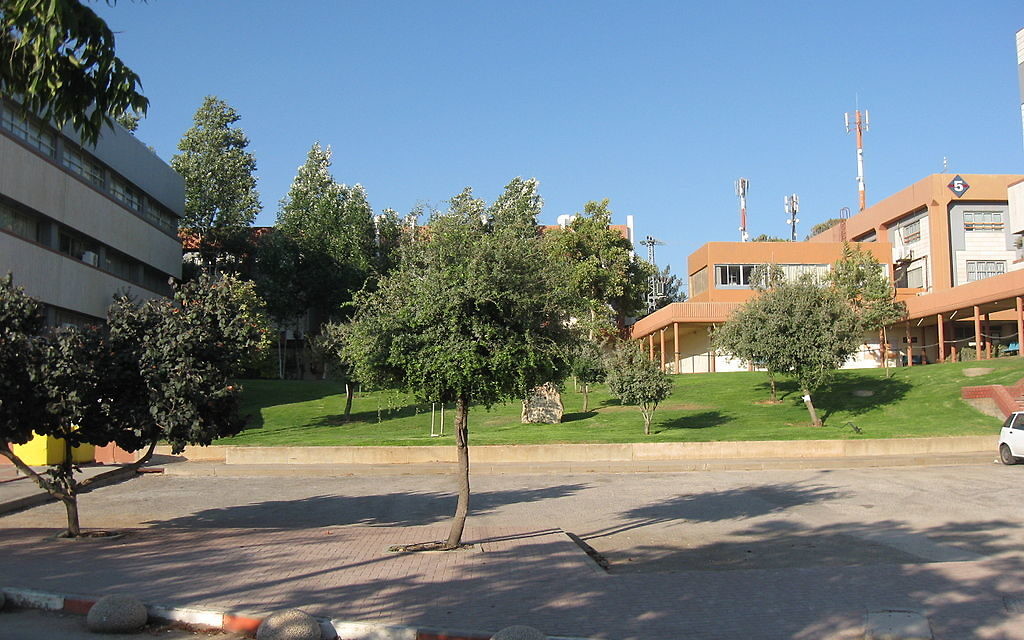 Ariel University