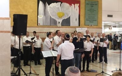 The Shabbaton choir during their performance at the Laniado Hospital, Netanya