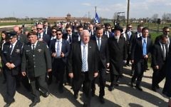 Israeli President Reuven Rivlin and Polish President Andrzej Duda led the record-breaking procession at the 30th March of the Living.

Photo credit Kobi Gidon