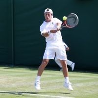 Diego Schwartzman crashed out at Wimbledon on Thursday afternoon