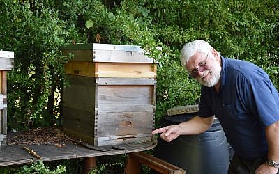 Ian Shenker inspects one of his bee hives