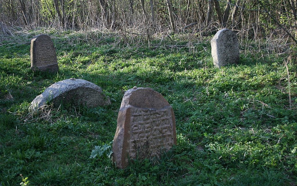 Jewish cemetery in Lyubavichi