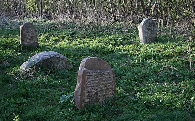 Jewish cemetery in Lyubavichi
