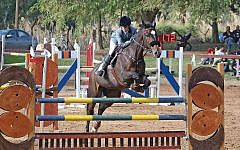 Show Jumping Competition, 2014, Nir David Israel Show Jumping Competition, 2014, Nir David Israel