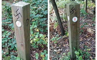 Two of the swastikas spotted by an Israeli tourist in Stanmore over the weekend, reported to the CST