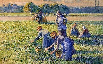 “Picking Peas” by Camille Pissarro was seized in 1943 by the Nazi collaborationist French government. (Wikimedia Commons)