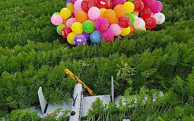 Image posted by the IDF of incendiary balloons that landed in a field in Southern Israel  (January 2019)