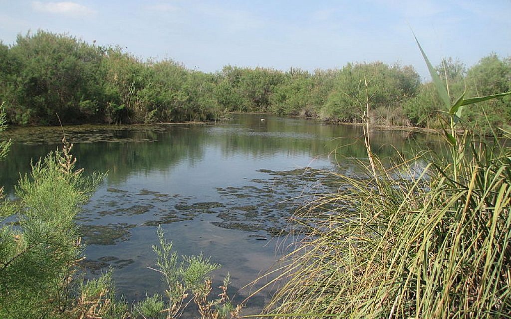Nahal Taninim in northern Israel
(Udi Steinwell/Wikipedia)