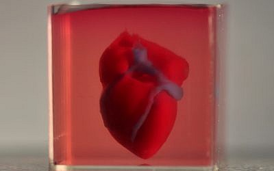 The first 3D-printed heart with cells and blood vessels at a lab in Tel Aviv University