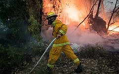 Fire fighters extinguish a forests fire near Kibbutz Harel, Thursday, May 23, 2019. Israeli police have ordered the evacuation of several communities in southern and central Israel as wildfires rage amid a major heatwave. Photo by: JINIPIX