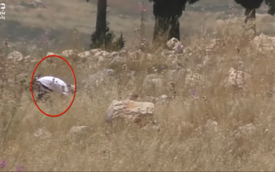 Screenshot from B’Tselem's video showing the settler torching the Palestinian-owned field