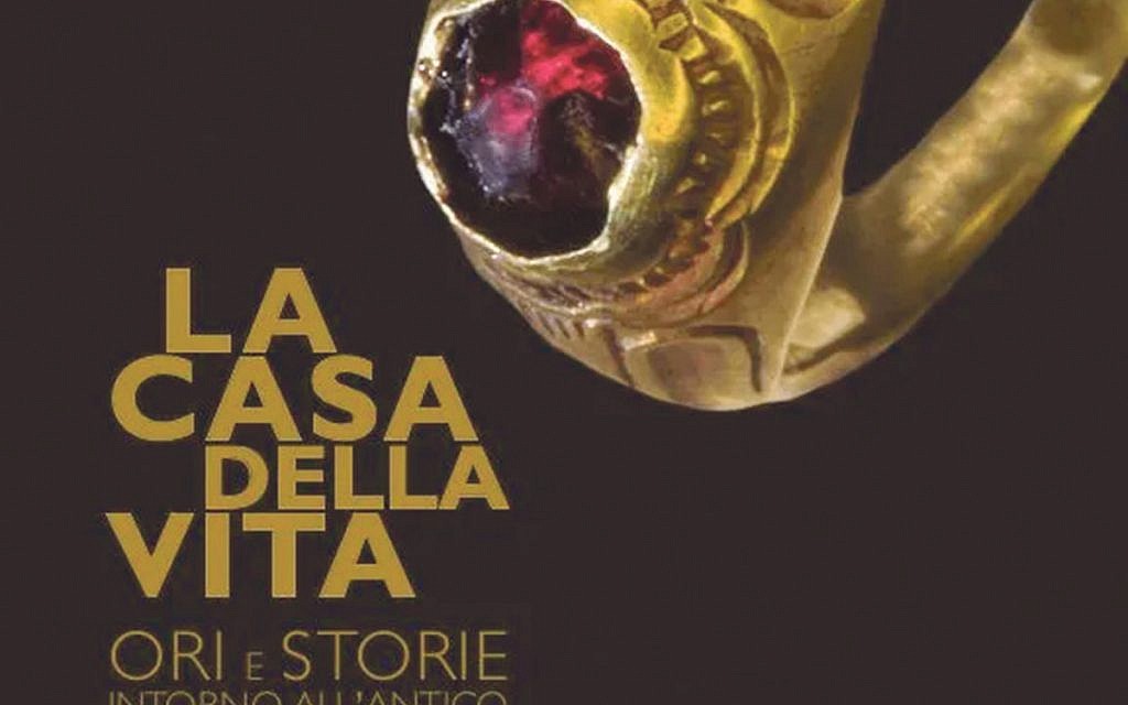 Bologna exhibit