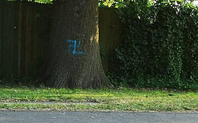 Swastika daubed on a tree in Borehamwood (Credit: @Mendelpol on Twitter)