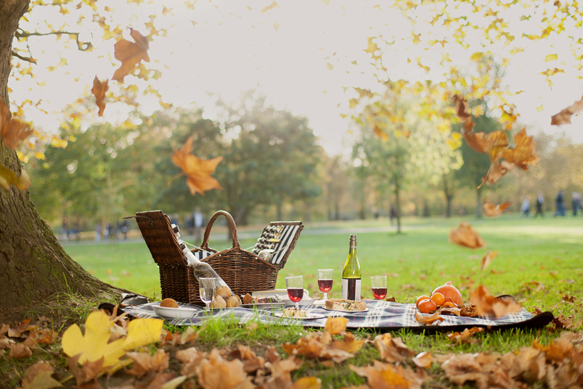 Dukes picnic! Dukes picnic!