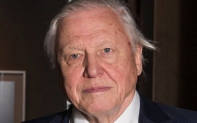 Sir David Attenborough expressed concern about the political system and said he hoped Europeans remembered the "lunacy" of the 1930s