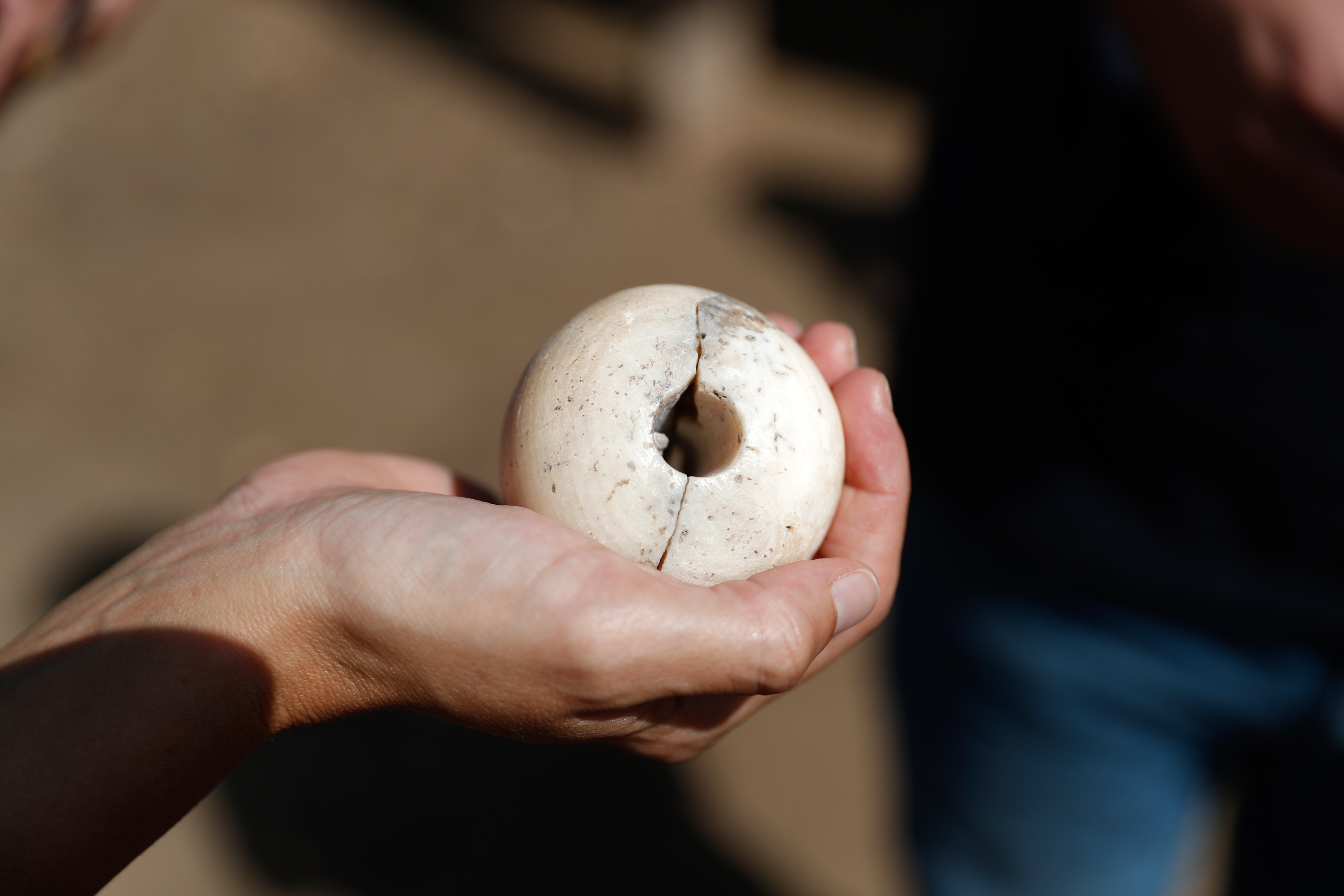 A picture taken on October 06, 2019 shows a stone club head unearthed at the archaeological site of En Esur (Ein Asawir) where a 5000-year-old city was uncovered, near the Israeli town of Harish. Photo by: JINIPIX