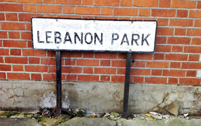 The hostel was in Lebanon Park, Twickenham