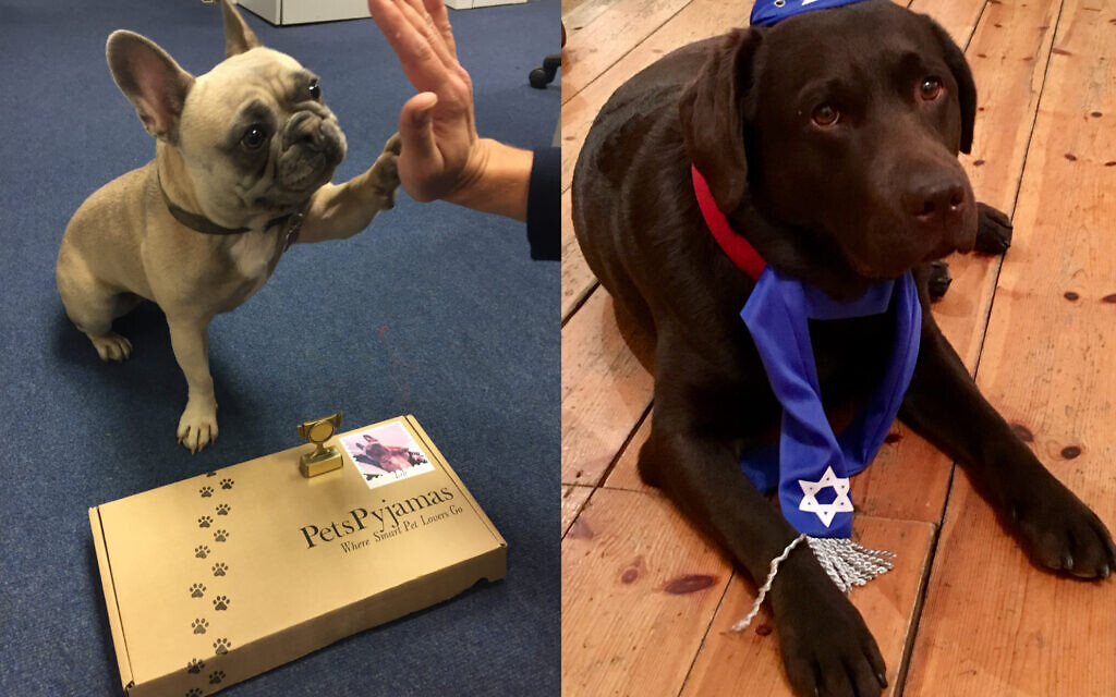 Previous joint winners when Jonathan Ross was the judge: Lili and Lola receiving their prizes!