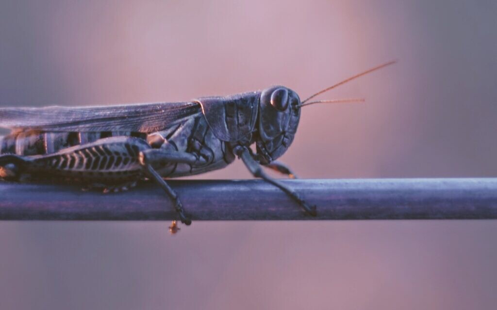 Photo by Joshua Hoehne on Unsplash