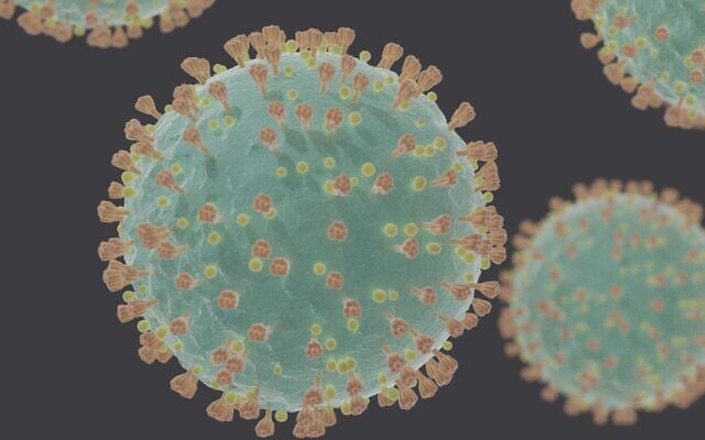 Coronavirus particle (Credit: Felipe Esquivel Reed, CC BY-SA 4.0, www.commons.wikimedia.org/w/index.php?curid=87846813)