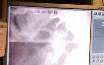 Screenshot taken from CCTV footage of the incident on anash.org